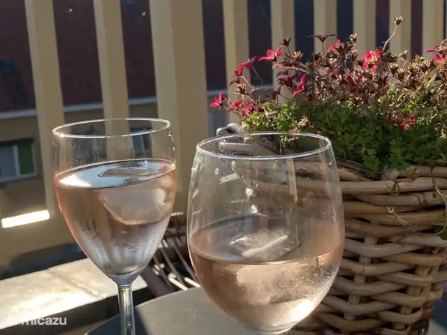 appartement huren in België, Belgische Kust, Nieuwpoort – Residentie Astrid Een heerlijk ZW-terras waar de zon tot zonsondergang van de partij is