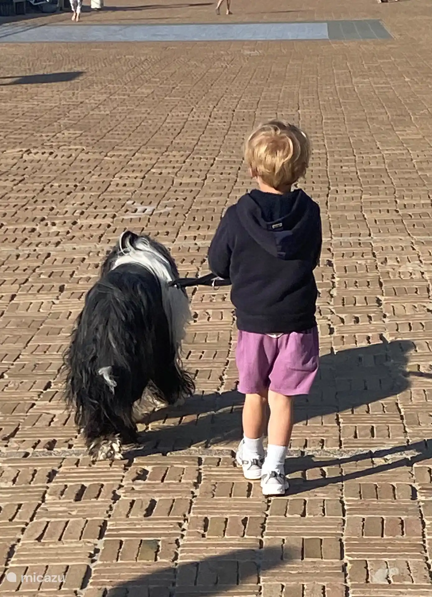 Los perros bien educados son bienvenidos bajo petición