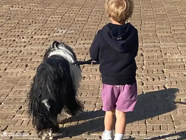 appartement huren in België, Belgische Kust, Nieuwpoort – Residentie Astrid Welopgevoede honden zijn welkom op aanvraag