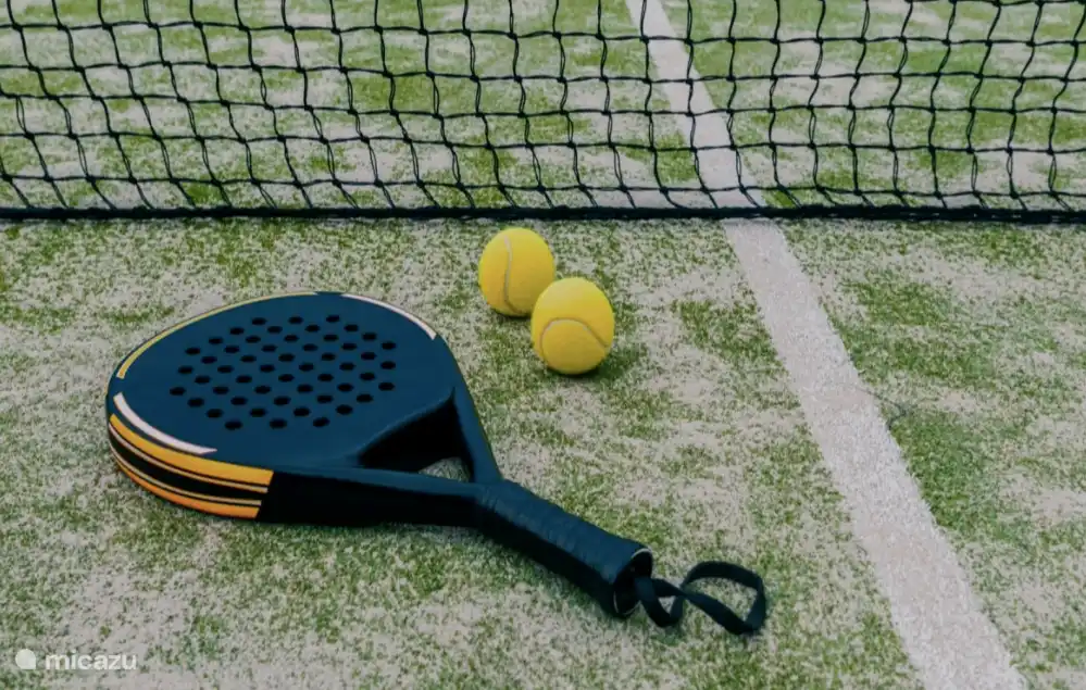 Il y a trois courts de padel intérieurs à moins d'une demi-heure de la Villa 'Village'.