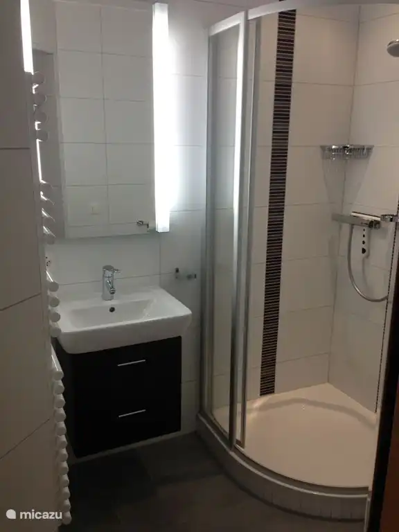 Bathroom with shower, toilet and sink