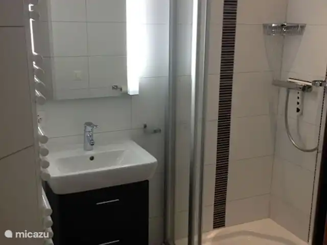 Le Charme - 250 metros de las pistas en Suiza, Valais, Morgins - apartamento Cuarto de baño con ducha, inodoro y lavabo.