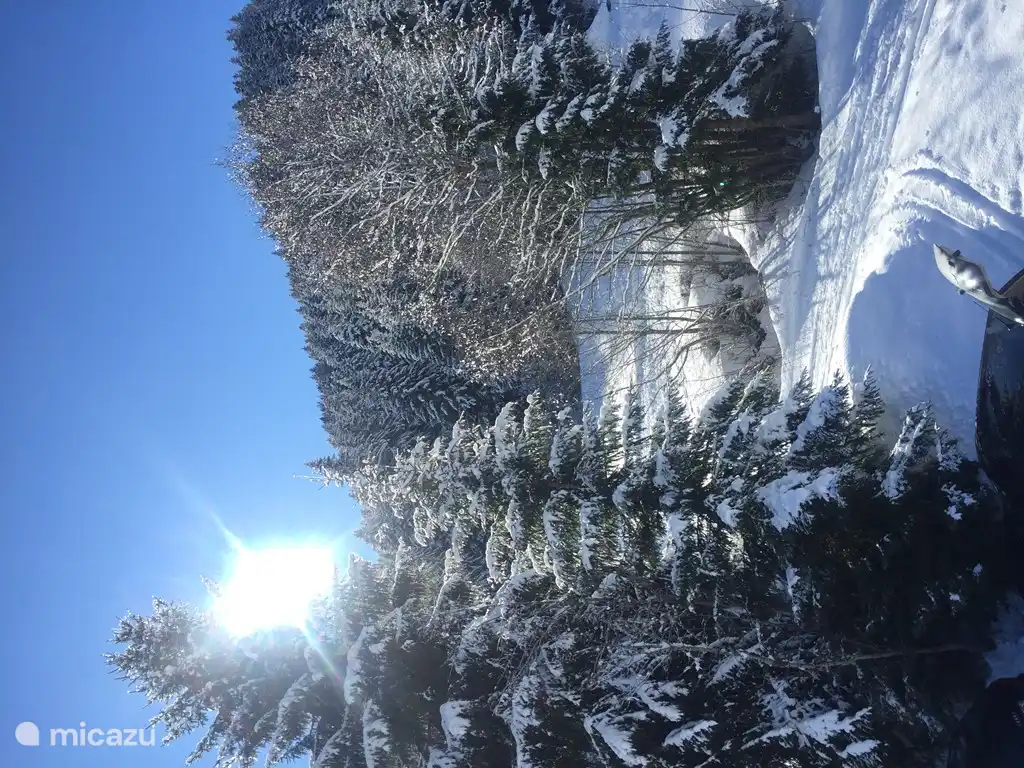 portes du soleil in winter