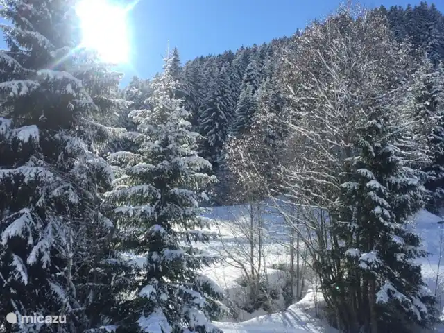 Le Charme - 250 metros de las pistas en Suiza, Valais, Morgins - apartamento puertas del sol en invierno