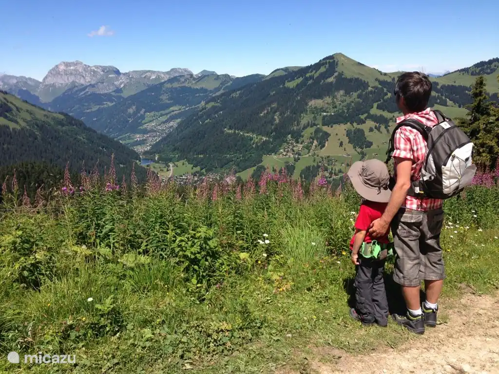 View over the valley of Morgins