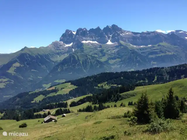 Le Charme - 250 metros de las pistas en Suiza, Valais, Morgins - apartamento Dents du Midi