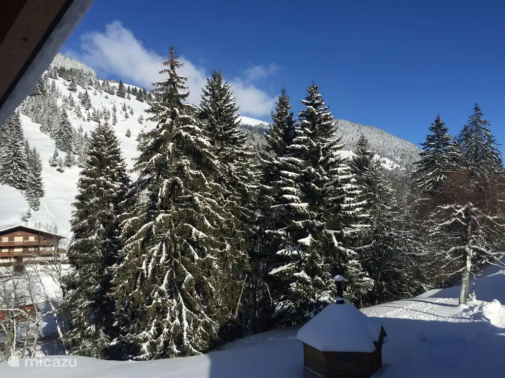 view from the balcony