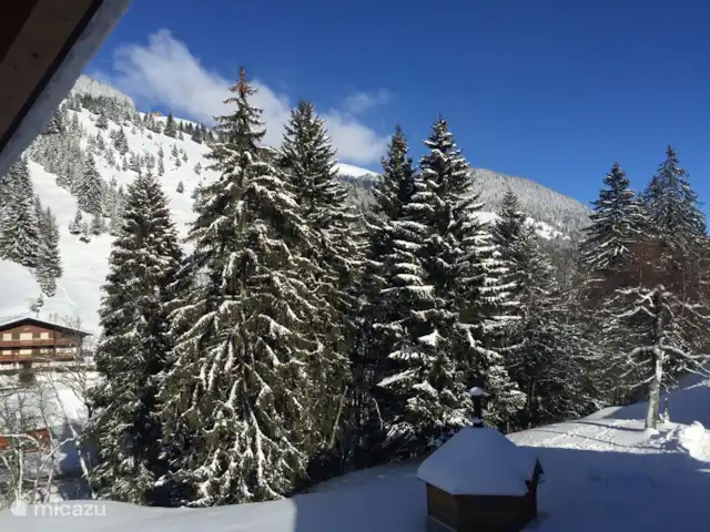 Le Charme - 250 metros de las pistas en Suiza, Valais, Morgins - apartamento vista desde el balcón