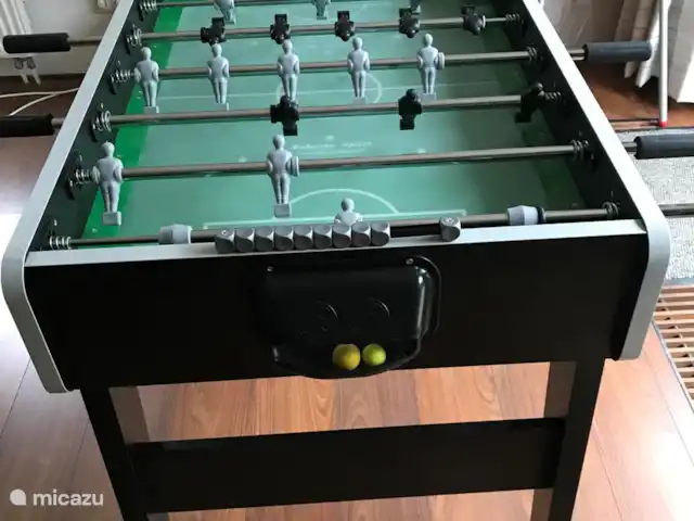 Location de Vacances Pays-Bas, Flevoland, Zeewolde, villa - The Dutch Green View Villa Jeu de baby-foot - prof