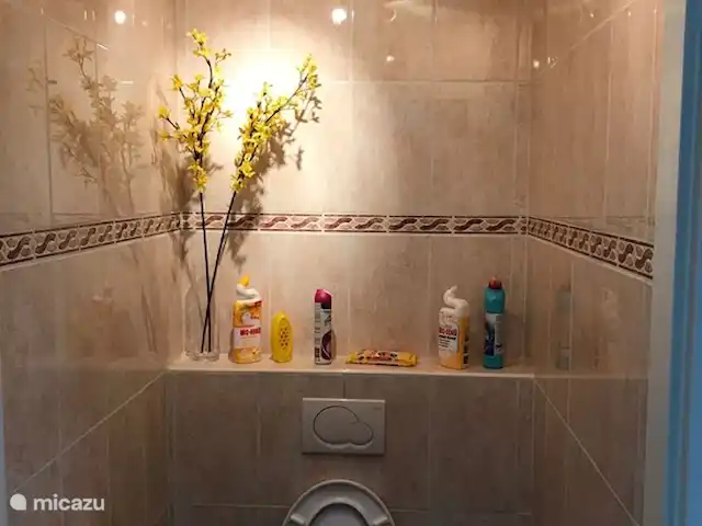 Location de Vacances Pays-Bas, Flevoland, Zeewolde, villa - The Dutch Green View Villa toilettes rez-de-chaussée