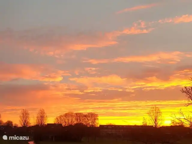 Location de Vacances Pays-Bas, Flevoland, Zeewolde, villa - The Dutch Green View Villa