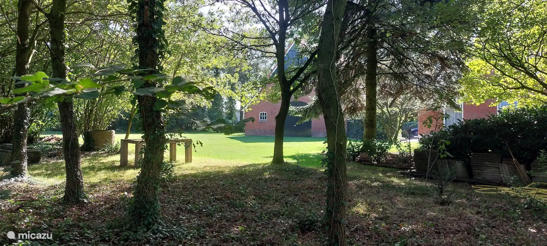 Vue depuis la forêt.