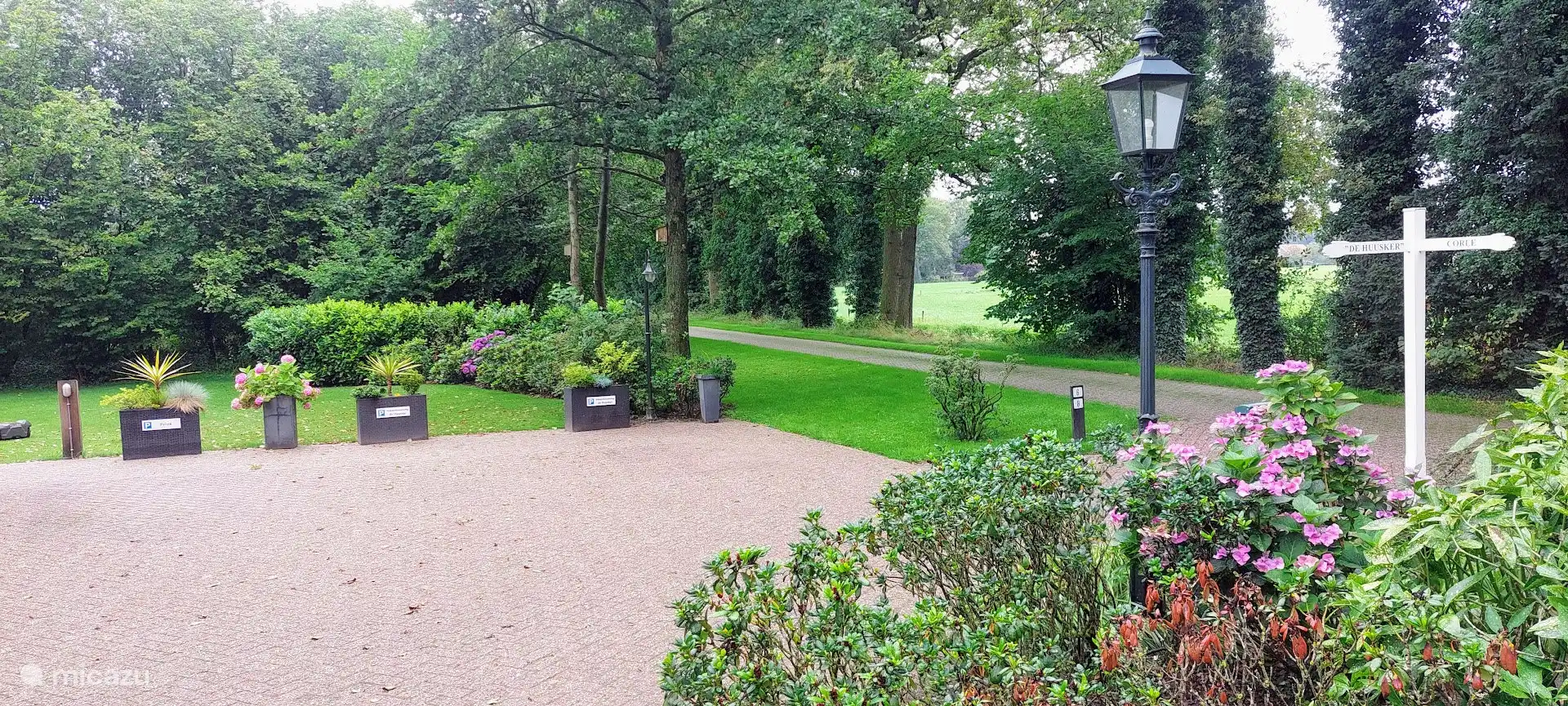 Allée avec places de parking.