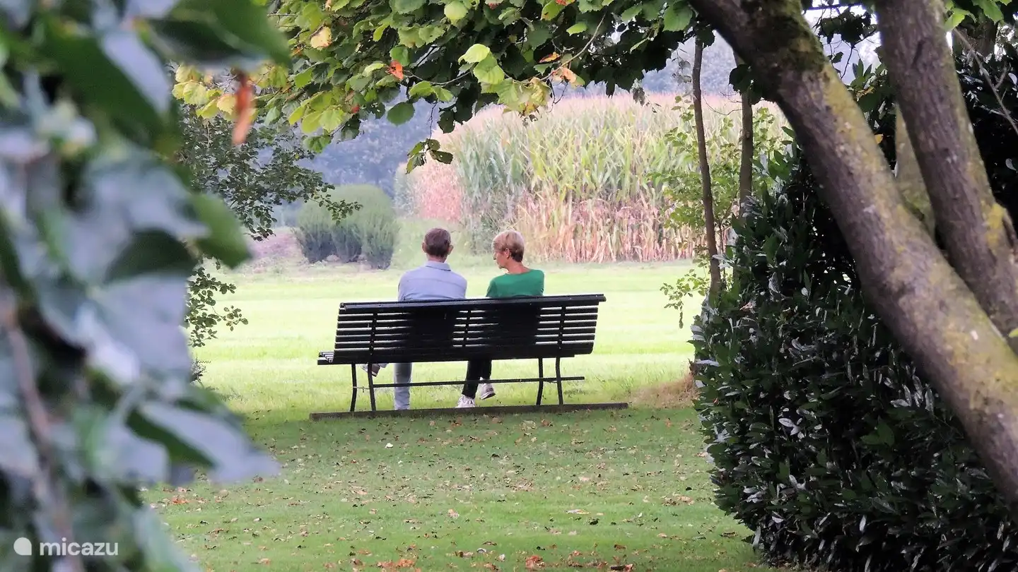 Profitez du soleil couchant.