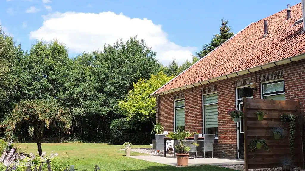 Terrasse ensoleillée.