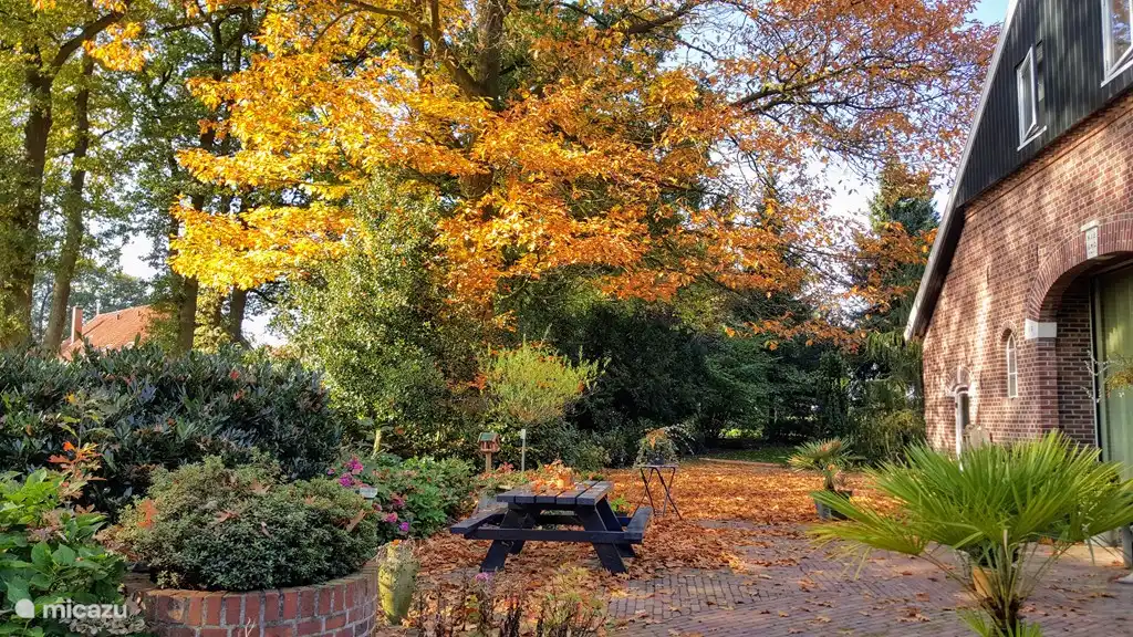 L'automne au Huusker.