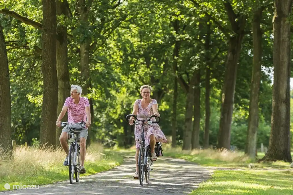 Faire du vélo ou marcher dans la région.