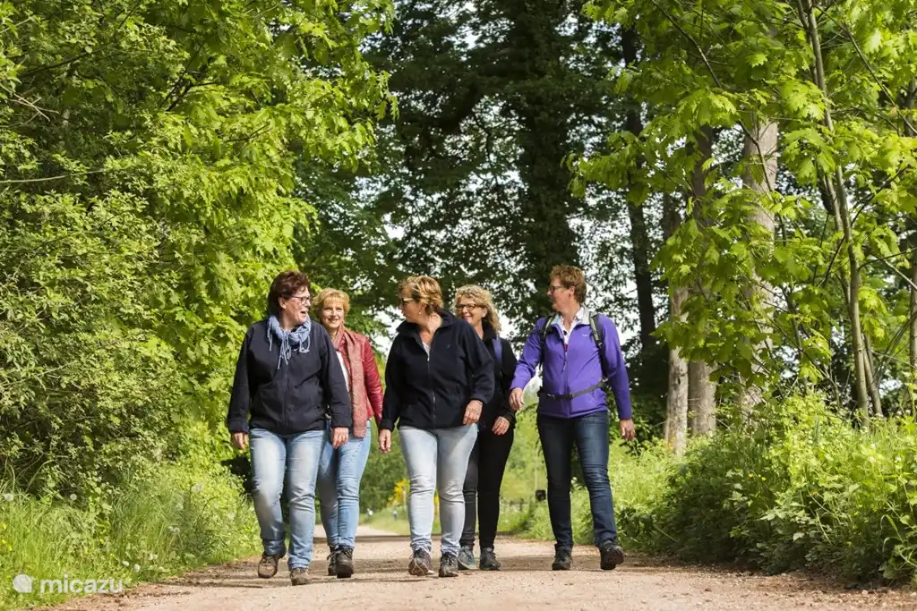 Faire du vélo ou marcher dans la région.
