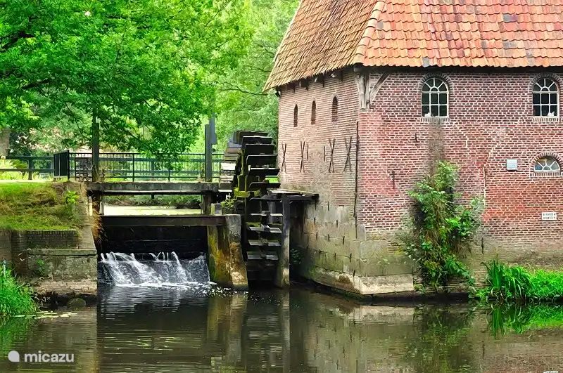 Moulin à eau de Berenschot Woold.