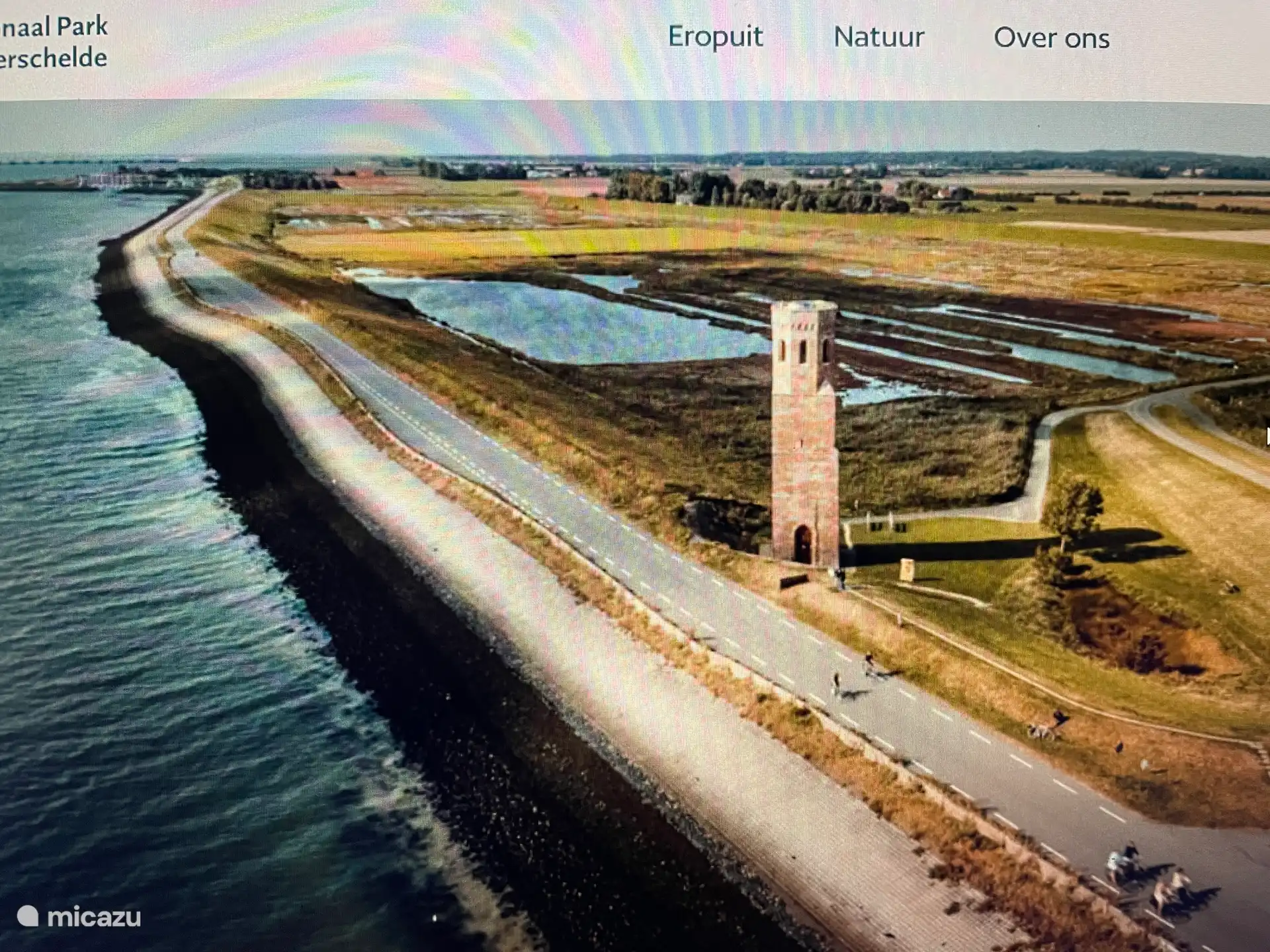 Nationalpark Oosterschelde mit Robben auf den Sandbänken.