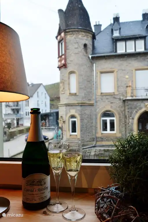 View apartment Steffensberg on old wine villa