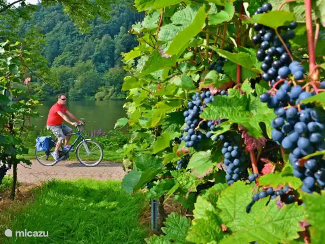 apartamento en Alemania, Mosela, Enkirch – Moselglück apartamento Steffensberg Ciclismo a lo largo del Mosela, una actividad común. ¡Sobre todo porque hay buenos carriles bici!