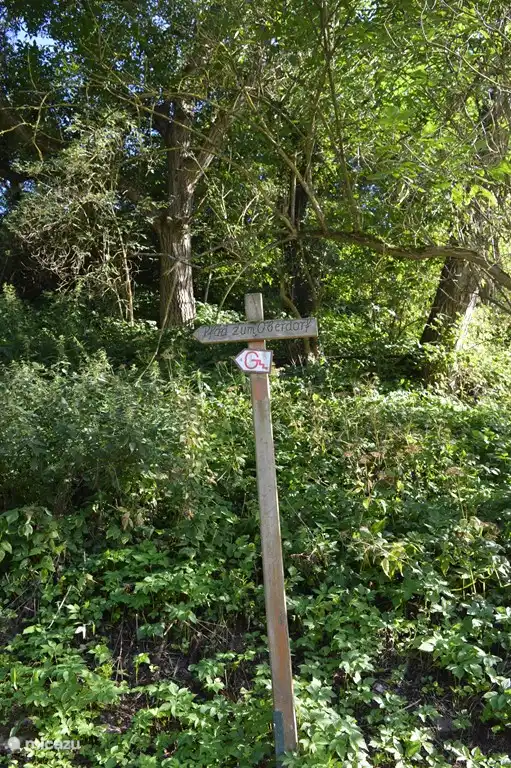 To the upper village of Enkirch