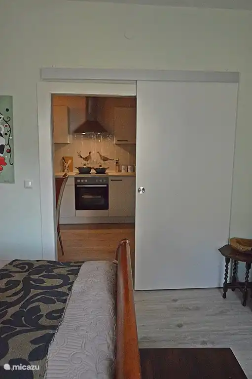 bedroom / sitting room kitchen