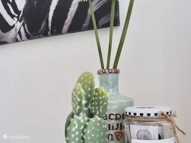 Villa Locabana Curaçao | Curaçao, Banda Ariba (est), Jan Thiel - villa ambiance