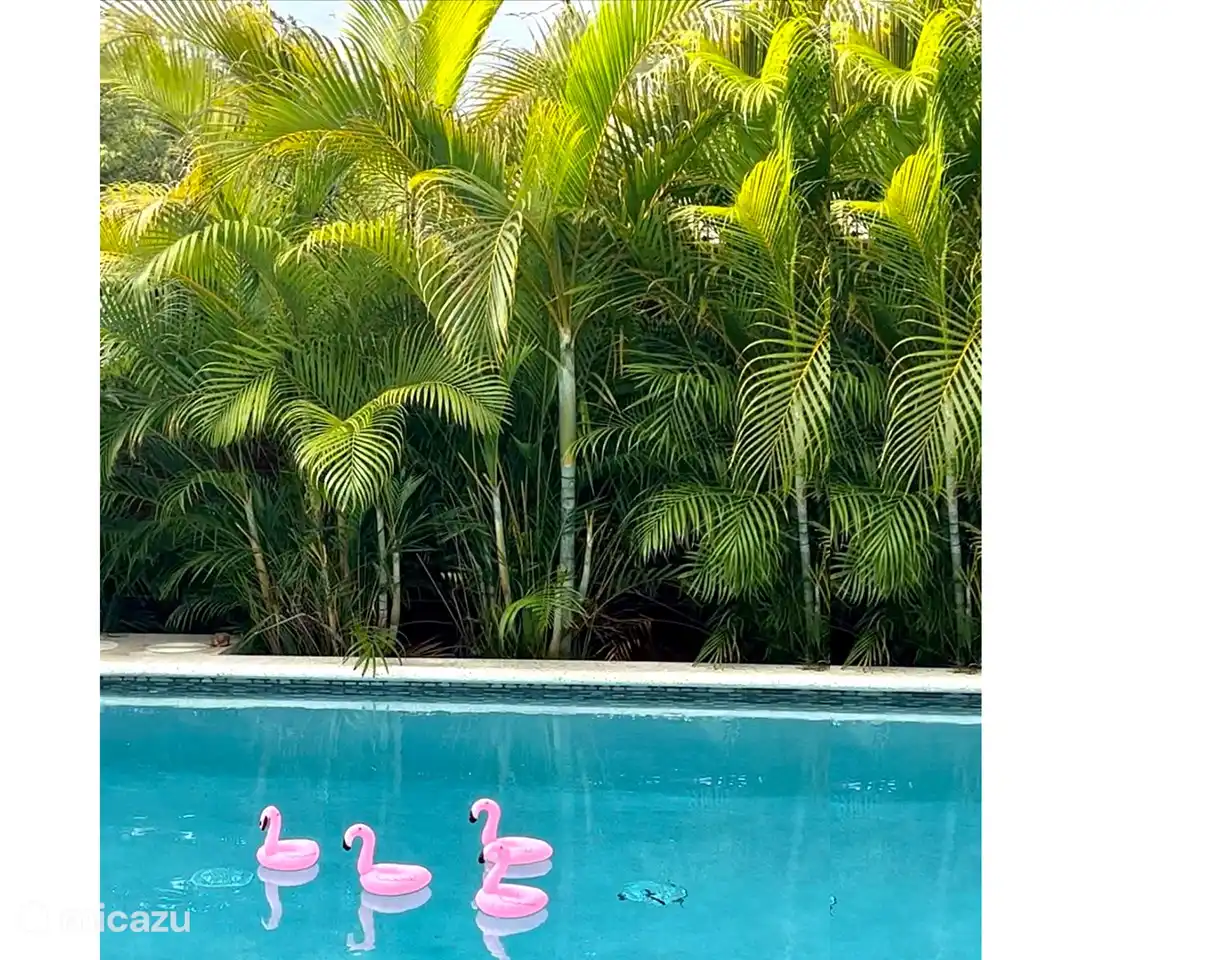 Privater Pool inkl. Haustiere