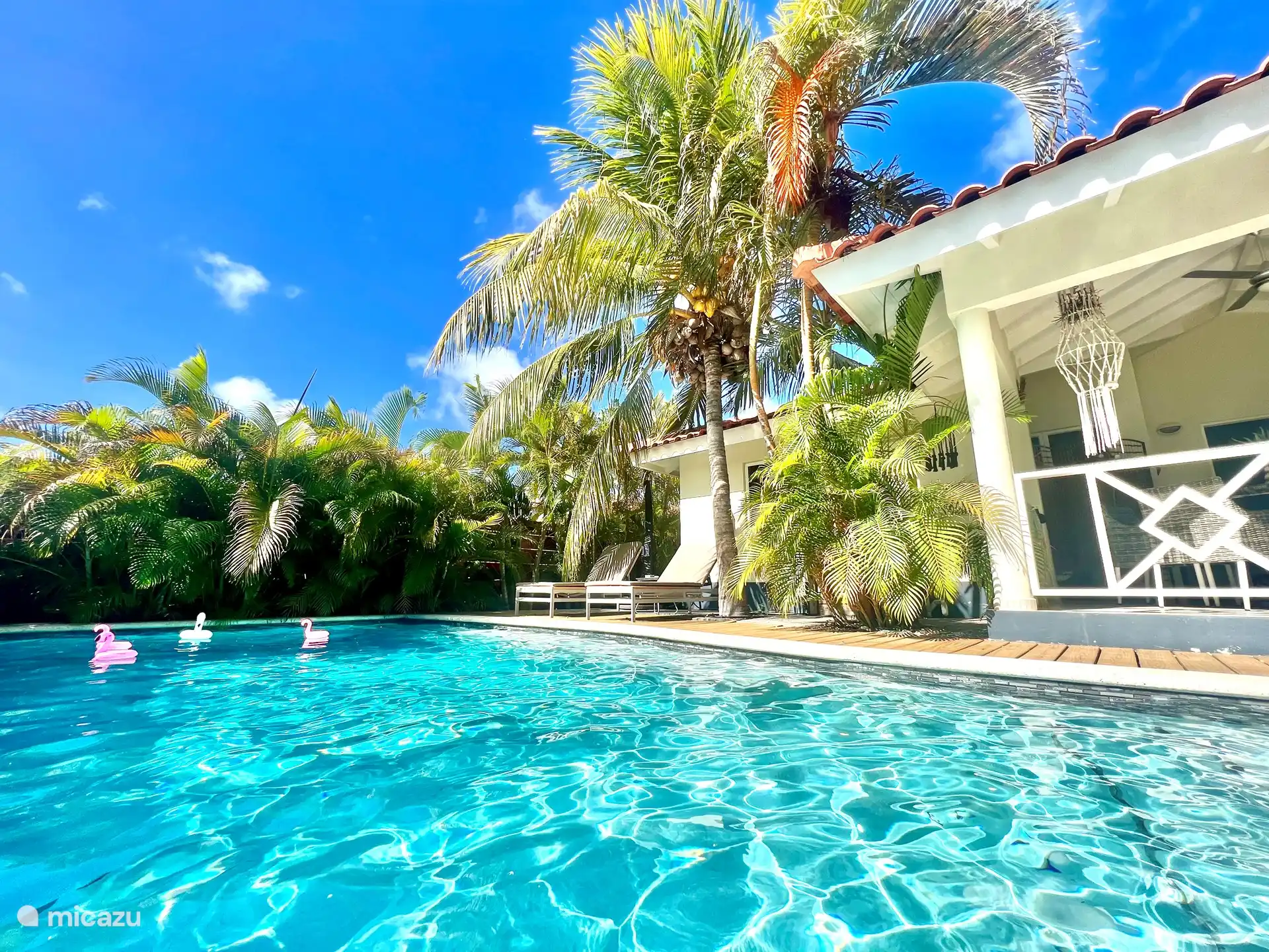 Privater Pool im sonnigen Garten