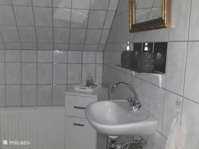 Maison de vacances le Koetshuis | Pays-Bas, Groningue, Visvliet - chambres d'hôtes salle de bain douche