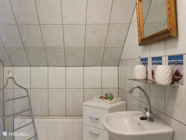 Maison de vacances le Koetshuis | Pays-Bas, Groningue, Visvliet - chambres d'hôtes Salle de bain douche