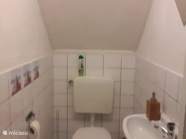 Maison de vacances le Koetshuis | Pays-Bas, Groningue, Visvliet - chambres d'hôtes TOILETTE