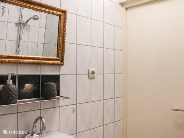 Maison de vacances le Koetshuis | Pays-Bas, Groningue, Visvliet - chambres d'hôtes Salle de bain douche