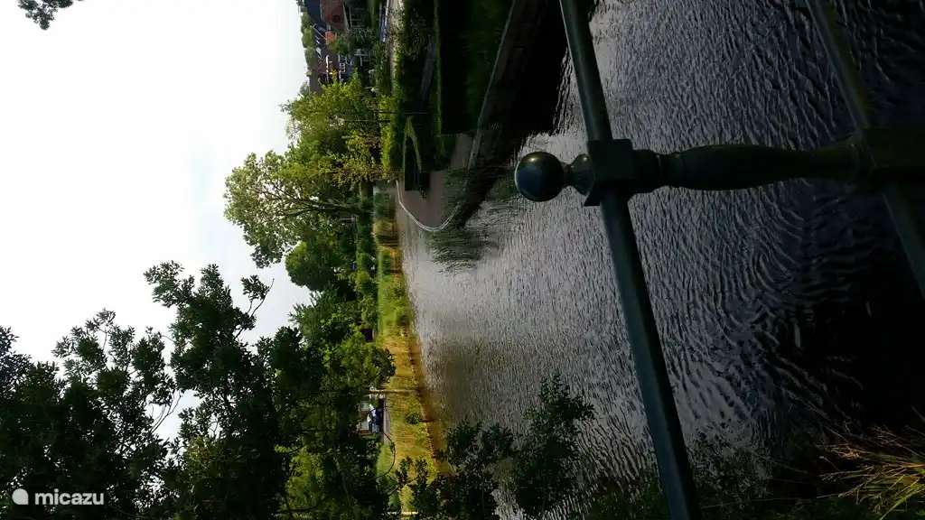 río detrás de la cochera