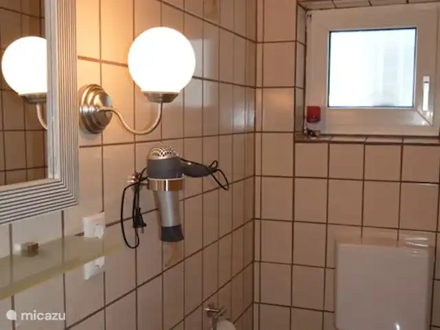 apartamento en Alemania, Mosela, Enkirch – Moselglück - apartamento Grossbach Baño Grossbach