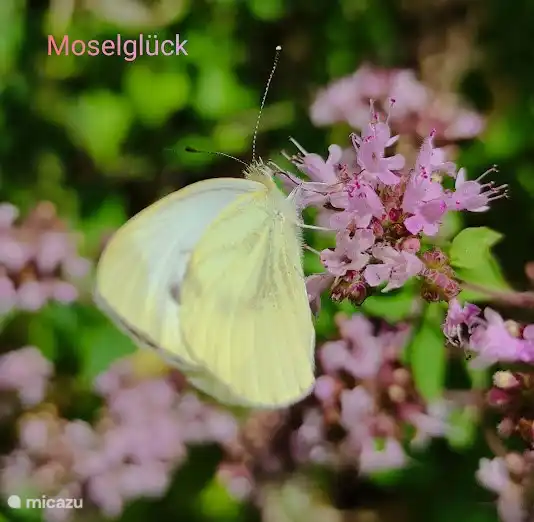 Área de terraza / foto de estado de ánimo