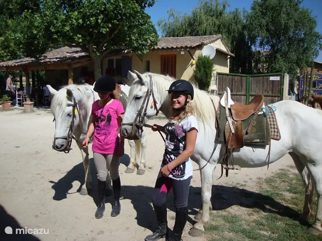 Équitation à 5 minutes au centre équestre
