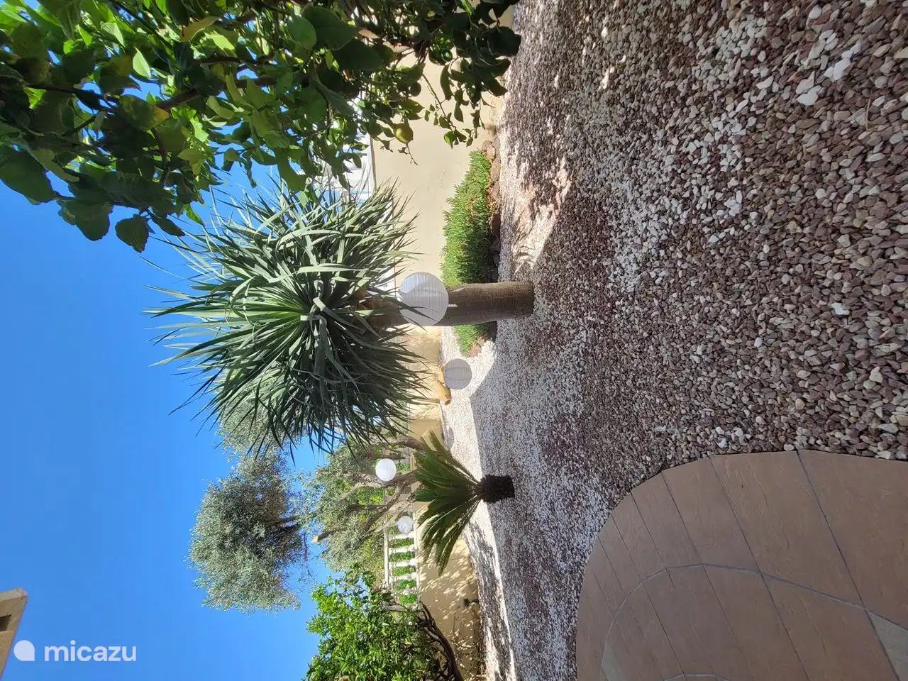 Ambiente en el jardín delantero.