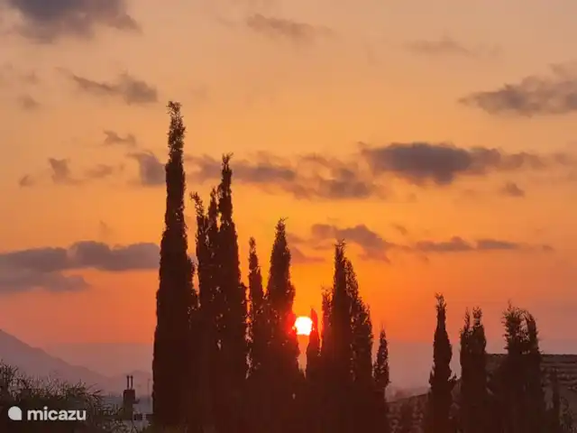 Villa Mi casa - Benijófar huren in Spanje, Costa Blanca, Benijófar - vakantiehuis Zonsondergang vanuit onze villa.