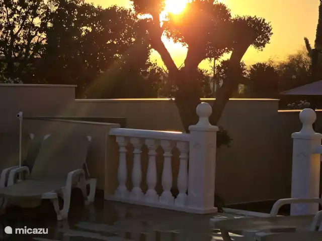 Villa Mi casa - Benijófar huren in Spanje, Costa Blanca, Benijófar - vakantiehuis In onze tuin zijn diverse mooie olijfbomen te vinden.