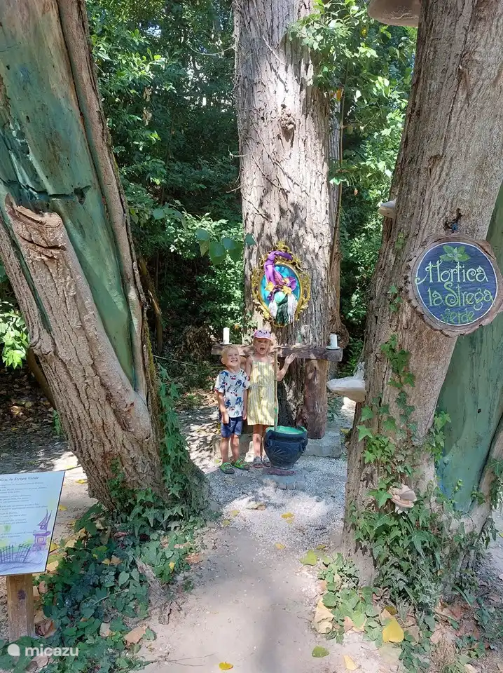 Promenade magique le long de la rivière