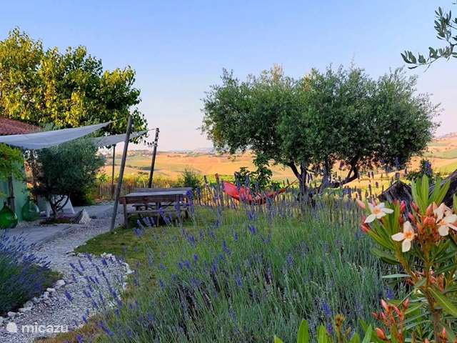 Holiday home in Italy, Marche – holiday house A Casa Cingoli Fico