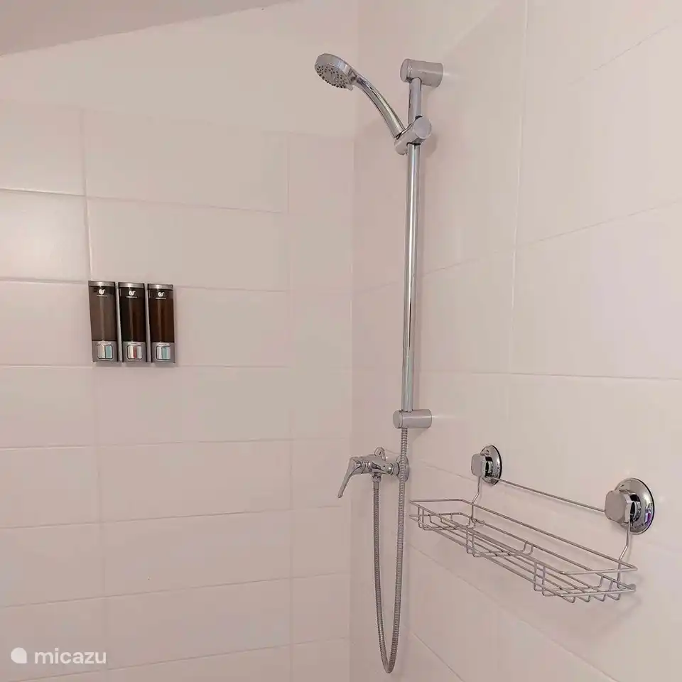 Begehbare Dusche mit allen Annehmlichkeiten