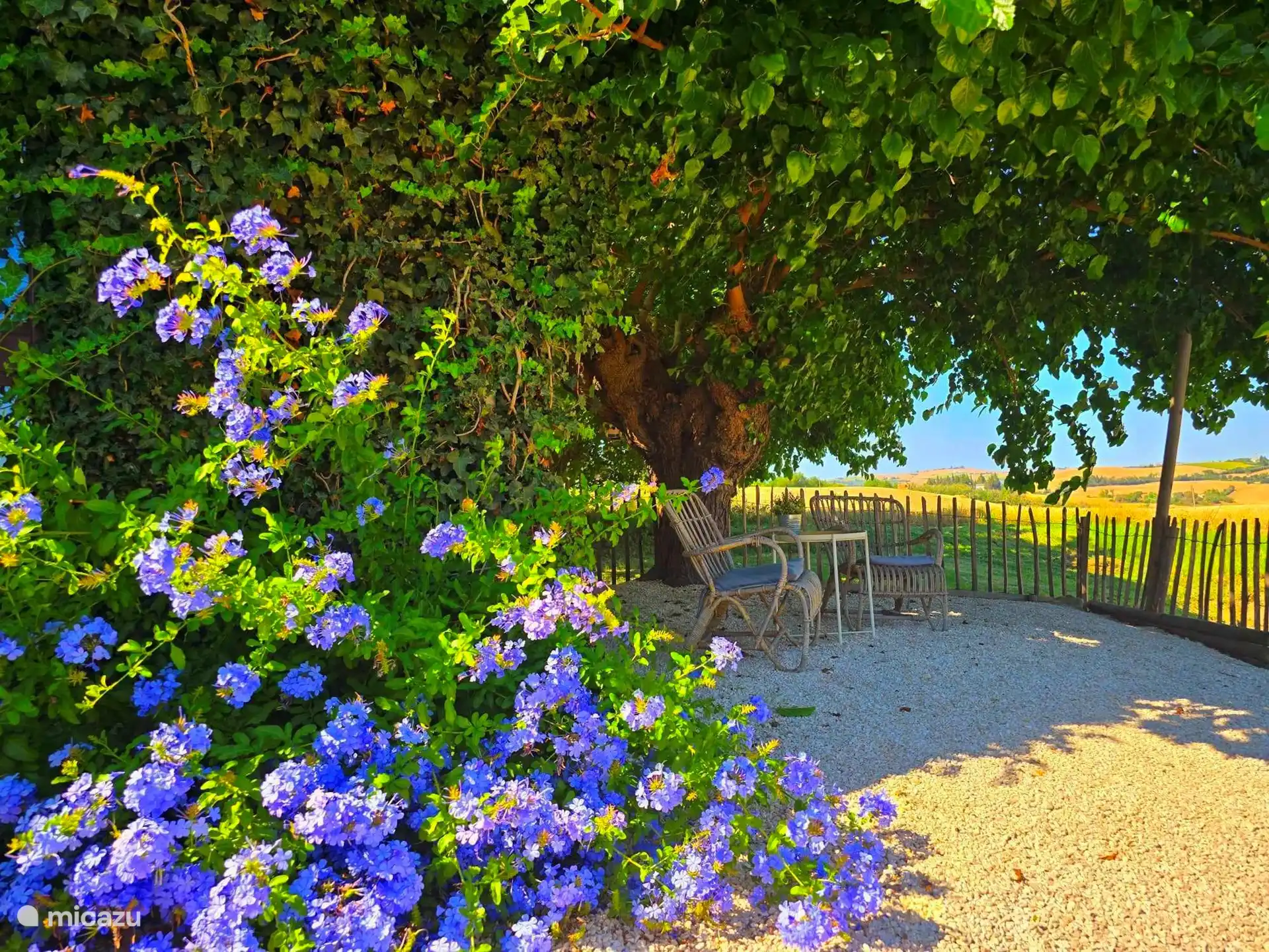 Charmante Sitzecke im Fico