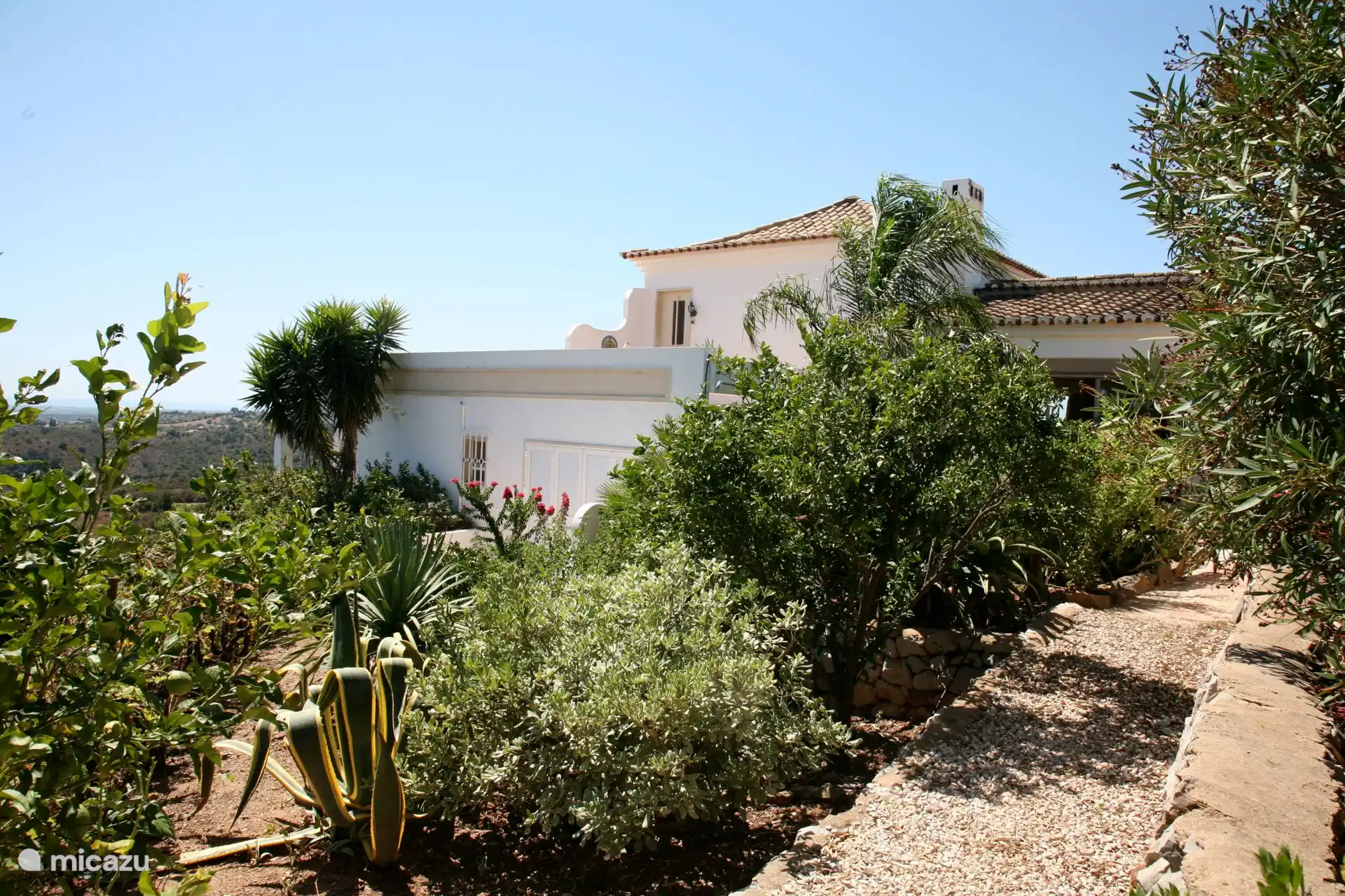 Der Vorgarten der Casa ist mit einzigartigen Pflanzen bepflanzt