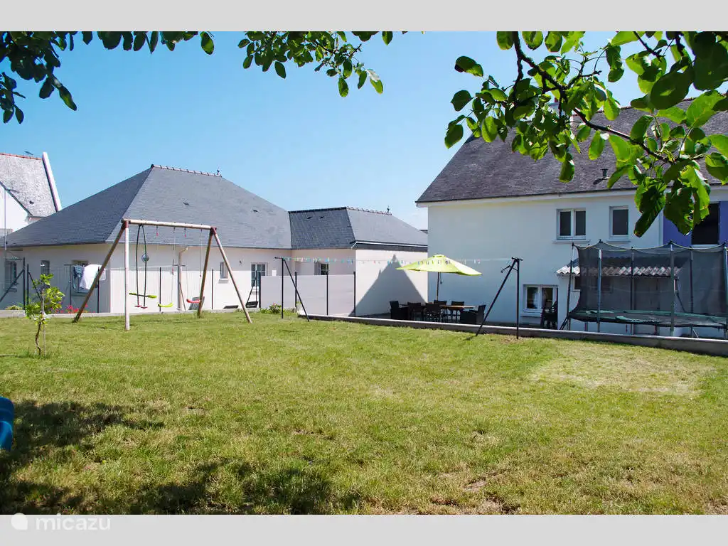 View from under the walnut tree.