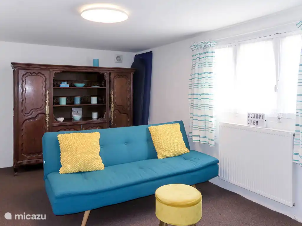 Bedroom/game room with comfortable sofa bed.