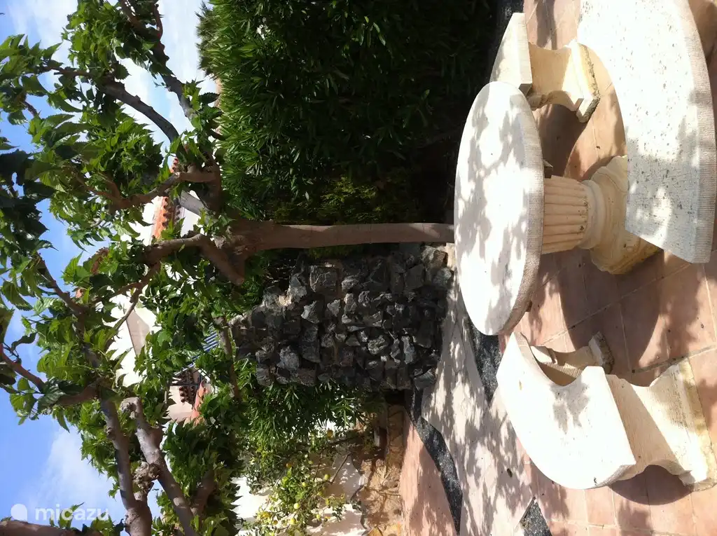 Achtertuin met schaduwbomen.